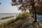 Tarred country road along weedy river-shore in sunny winter afternoon