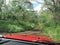 Tarred road through lush woodland