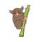 Tarsier monkey animal vector illustration