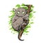 Tarsier Monkey Vector Illustration