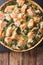 Tart with red fish, spinach and herbs in baking dish close up on