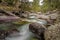 The Tartagine river and Genoese bridge in Corsica