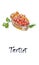 Tartlet with red caviar. Gourmet food, appetizer. Close-up salmon caviar. Delicatessen. Gourmet food. Seafood, watercolor vector