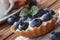 Tartlets with blueberries and cream cheese closeup