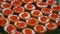 Tartlets with red caviar close-up