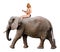 Tarzan King of Jungle, Man Ride Elephant, Isolated