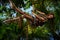 Tarzan wearing in leopard fur swinging on a rope in jungle