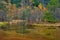 Tashiro pond surrounded by woods mountains, late autumn season in Kamikochi ,Japan