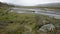 Tasman River and spring vegetation at the Mount Cook Valley, New Zealand