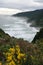 Tasman Sea in mist on West Coast of New Zealand