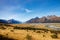 Tasman valley with the tasman river and mount cook in the distance