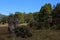 Tasmania, Cradle Mountain-Lake St Clair National Park