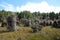 Tasmania, Cradle Mountain Lake St. Clair National Park