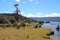 Tasmania, Lake St. Clair in Cradle Mountain-Lake St Clair National Park