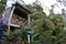 Tasmania rural treetop house