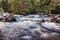 Tasmania Watersmeet River