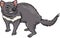 Tasmanian devil cartoon illustration