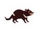 Tasmanian devil. Cute funny Australian animal. Vector cartoon flat illustration.