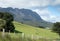 Tasmanian green pastures