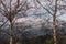 Tasmanian mountain landscape with vegetation in the foreground