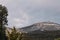 Tasmanian mountain landscape with vegetation in the foreground