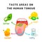 Taste areas on the human tongue diagram chart in science subject kawaii doodle vector