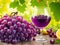 Taste Of Luxury : Grape Wine In Glass With Bunch Of Grapes And Lemon Slice With Leaves Around On Wooden Table. Ai Generated