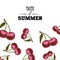 Taste of summer poster design template. Hand drawn sketch colorful cherries.