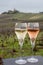 Tasting of brut and rose champagne sparkling wine outdoor with view on pinot noir gran cru vineyards of famous champagne houses in
