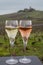 Tasting of brut and rose champagne sparkling wine outdoor with view on pinot noir gran cru vineyards of famous champagne houses in