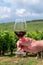 Tasting of burgundy red wine from grand cru pinot noir  vineyards, hand with glass of wine and view on green vineyards in Burgundy