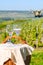 Tasting of premier cru sparkling rose wine with bubbles champagne with view on green pinot noir, meunier vineyards of Hautvillers