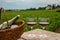 Tasting of red dry pinot noir wine in glass on premier and grand cru vineyards in Burgundy wine making region near Vosne-RomanÃ©e