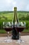 Tasting of red dry pinot noir wine in glass on premier and grand cru vineyards in Burgundy wine making region near Vosne-RomanÃ©e