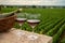 Tasting of red dry pinot noir wine in glass on premier and grand cru vineyards in Burgundy wine making region near Vosne-RomanÃ©e