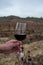 Tasting of rioja wine, ripe and dry bunches of red tempranillo grapes after harvest, vineyards of La Rioja wine region in Spain,