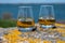 Tasting of single malt Scotch whisky with blue sea, ocean or river view, private whisky tours in Scotland, UK
