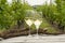Tasting of white wine on Dutch vineyard in North Brabant