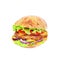 Tasty and appetizing hamburger