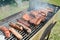 Tasty assortment of meat on a summer barbecue