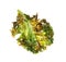 Tasty baked kale chip isolated