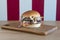 Tasty, beef burger , photographed isolated