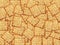 Tasty biscuits crackers background pattern.