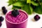 Tasty Blackberry Smoothie. Berrylicious Bliss. Blackberry Smoothie Delight. Generative AI