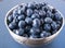 Tasty blueberries in silver bowl on a dark wooden table.