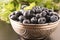 Tasty blueberries in silver bowl with mint leaf.Close up.