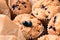 Tasty blueberry muffins, closeup