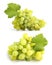 Tasty bunches of white grapes with leaf