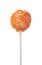 Tasty cake pop with orange sprinkles isolated