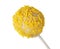 Tasty cake pop with yellow sprinkles on white